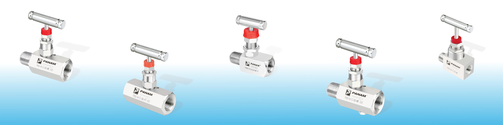 Various sizes and configurations of PANAM needle valves
