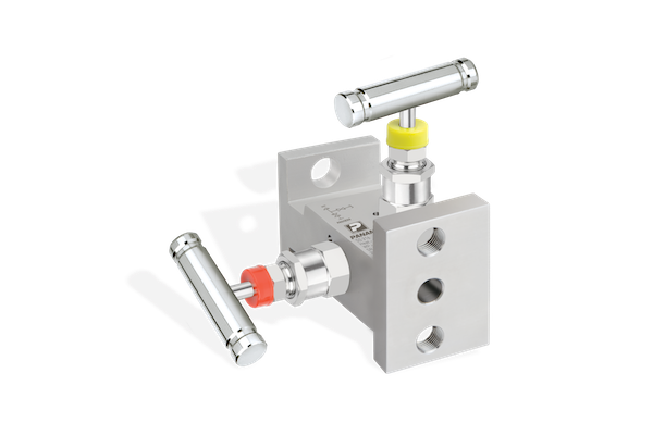 Two-valve instrument manifold