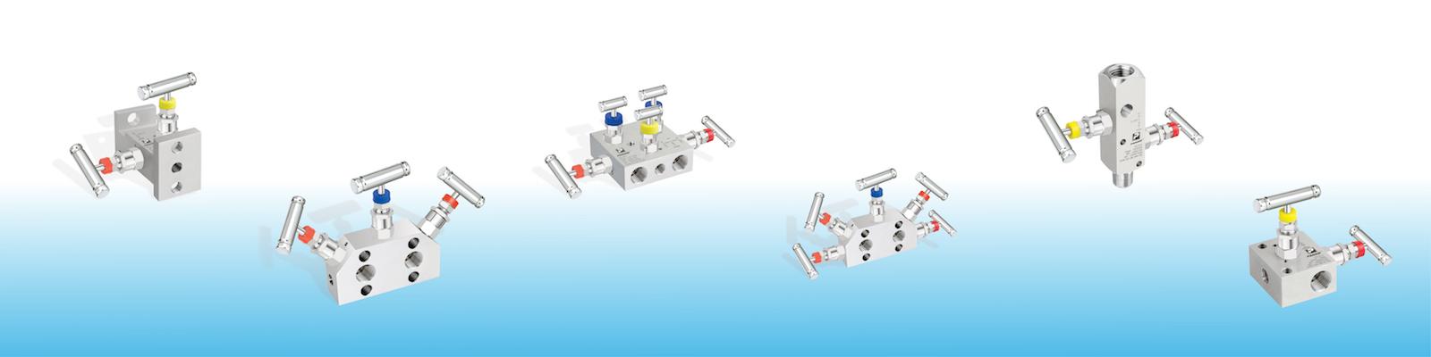 PANAM Instrumentation Manifolds