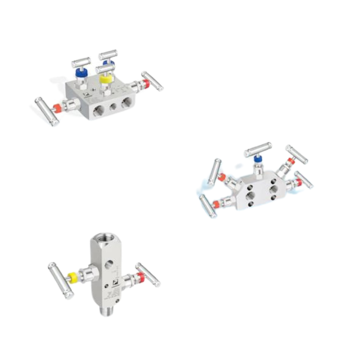 PANAM Instrumentation Manifolds